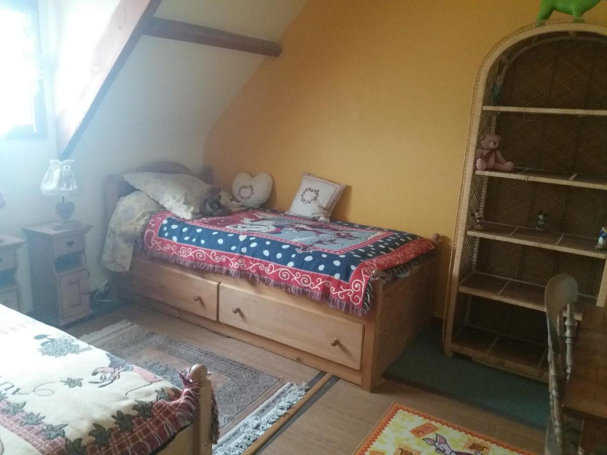 Les Mouettes 1 Gite Ou 4 Chambres D Hote, Jardin ,Bords De Loire La Bohalle エクステリア 写真